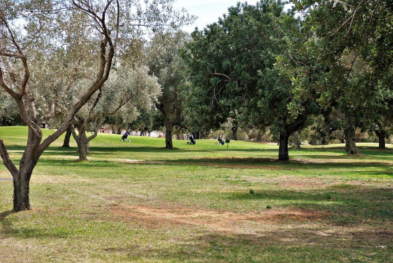 Chalet Adosado De Lujo Para 6 Personas En Golf Panoramica - Internet Fibra Gratis San Jorge  Exteriör bild